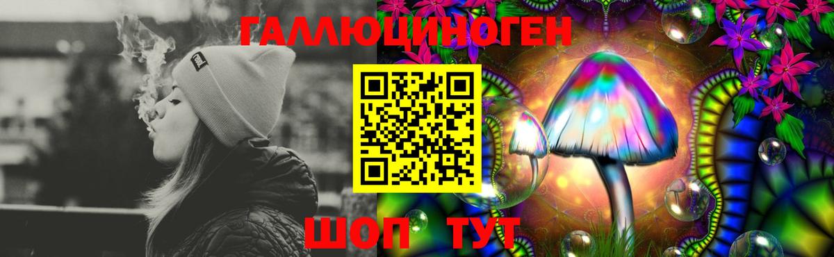 Псилоцибиновые грибы ЛСД Малгобек